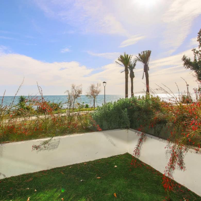Beautiful seaside view with palm trees and lush garden.