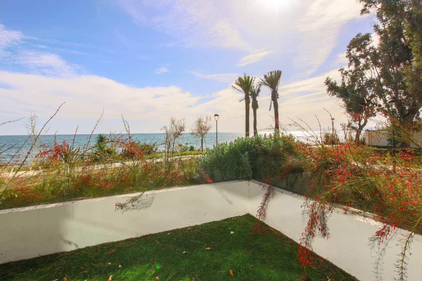 Beautiful seaside view with palm trees and lush garden.