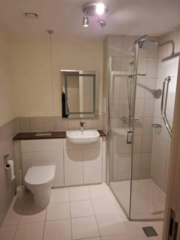 Bathroom with walk-in shower, toilet, and mirror in a contemporary apartment.