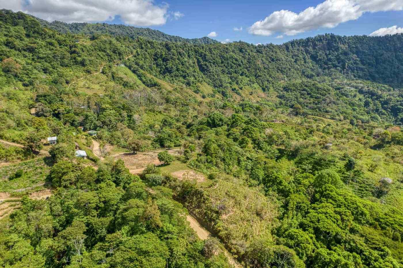 Mountainous lush green landscape with scattered houses and winding paths.