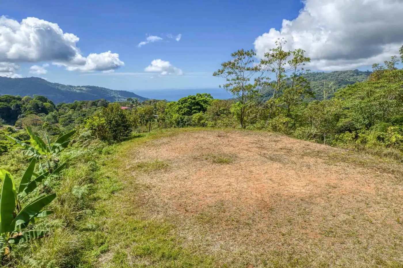Scenic tropical landscape with distant ocean view Beautiful tropical landscape with lush greenery and ocean in the background.