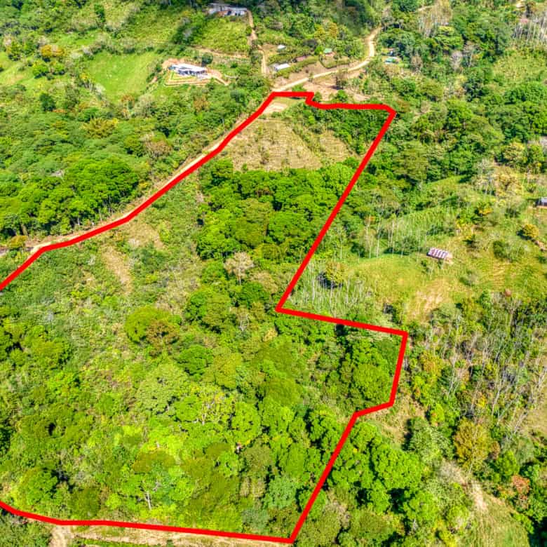 Aerial view of lush green forest land outlined in red, ideal for development or conservation.