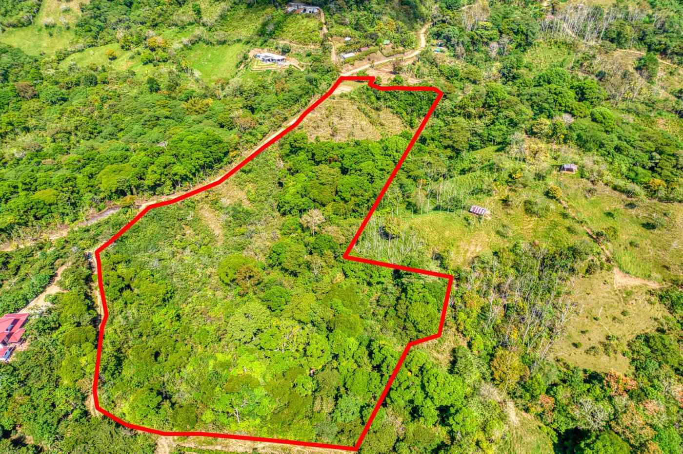 Aerial view of lush green forest land outlined in red, ideal for development or conservation.