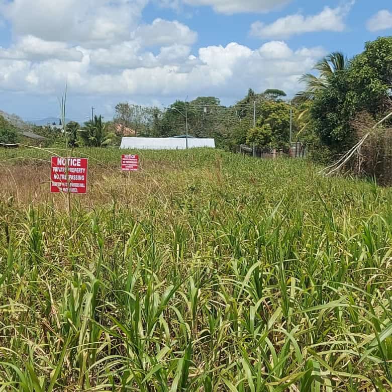 Plot of land available for sale in Trinidad and Tobago with lush greenery and open space.