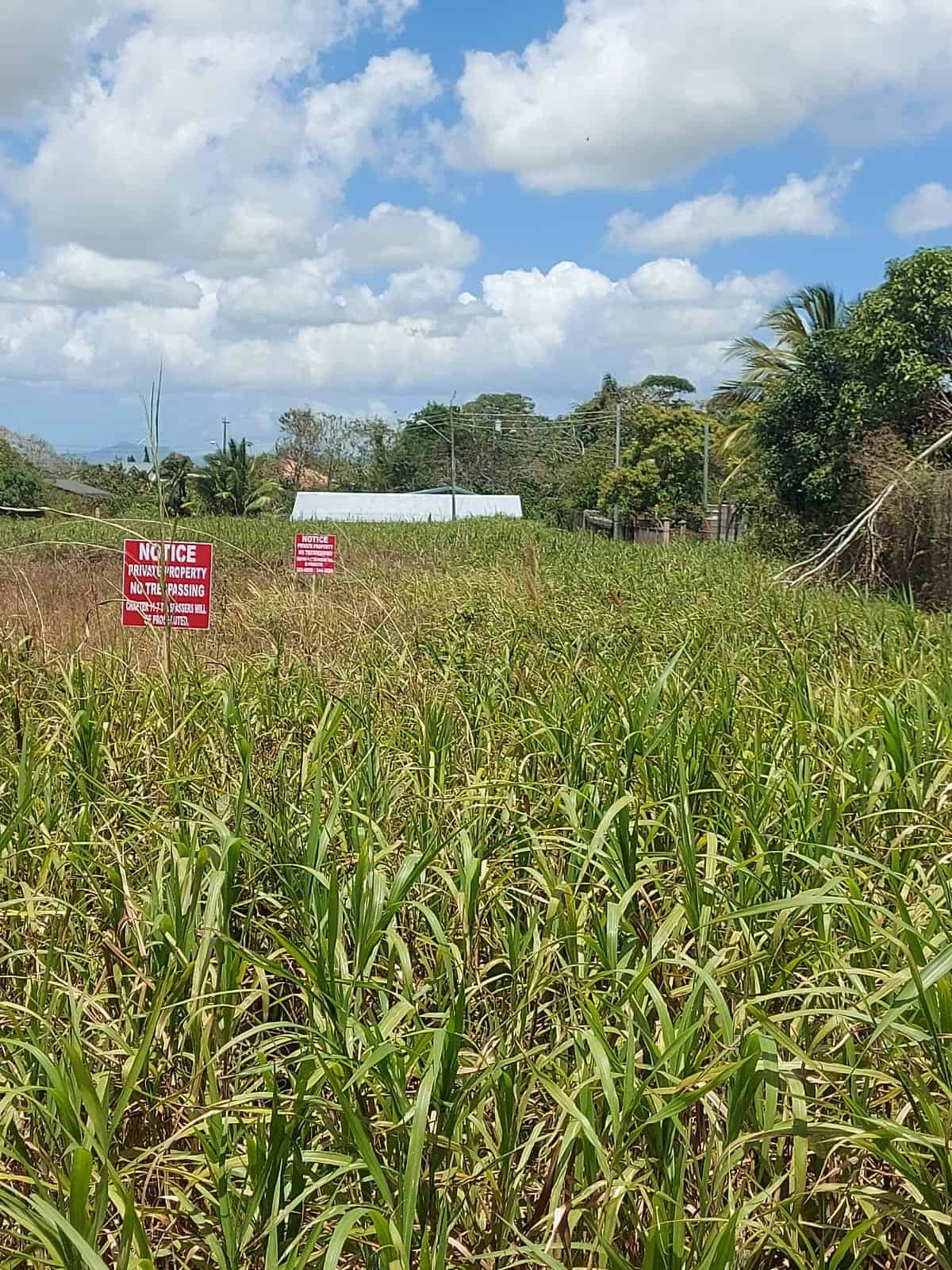 Land for Sale in Trinidad and Tobago Plot of land available for sale in Trinidad and Tobago with lush greenery and open space.