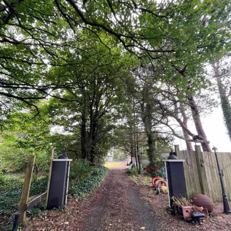 Beautiful view of the lush green pathway leading to the Irish cottage in Farranmacfarrell, Ballina,.