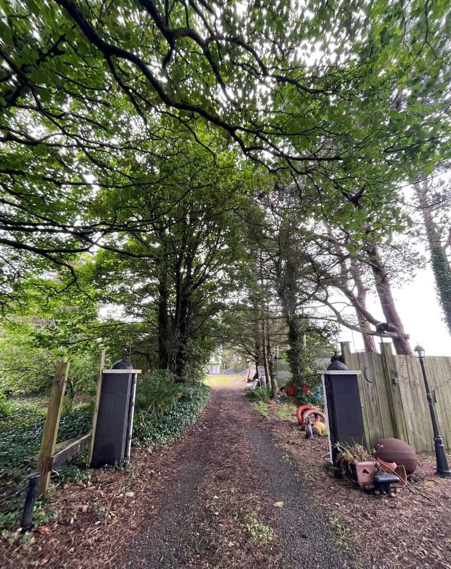 Beautiful view of the lush green pathway leading to the Irish cottage in Farranmacfarrell, Ballina,.