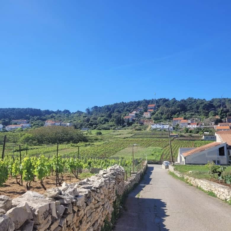 Apartment with scenic vineyard views in Lumbarda, Korčula, Croatia. Perfect for a relaxing seaside l.