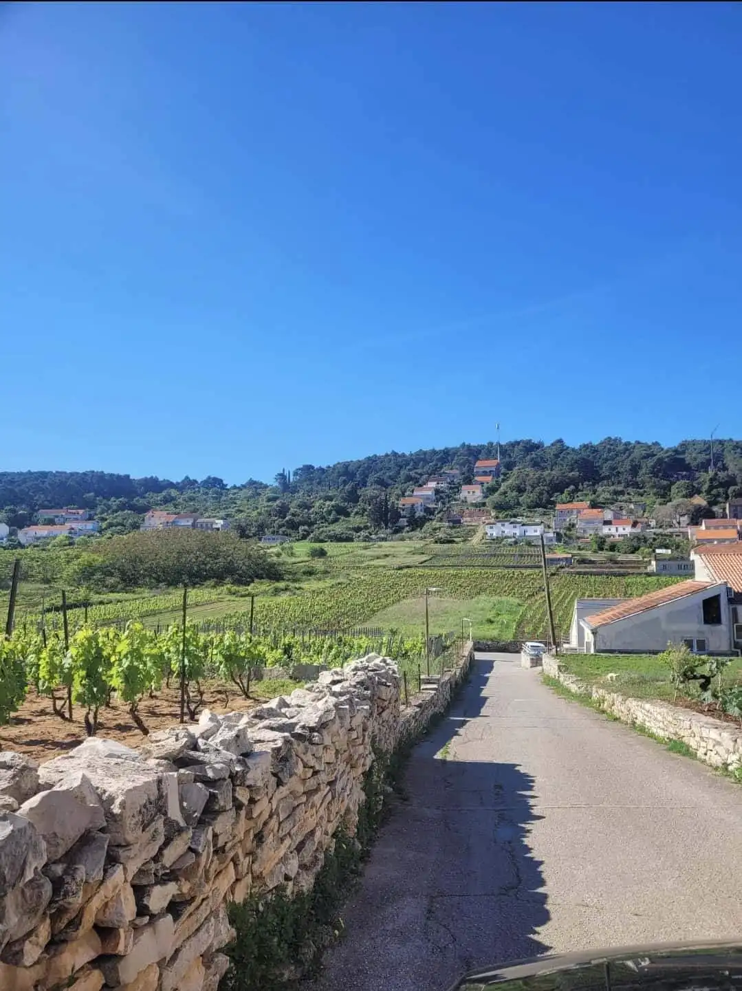 Luxury 2 Bed Apartment in Lumbarda Croatia Apartment with scenic vineyard views in Lumbarda, Korčula, Croatia. Perfect for a relaxing seaside l.