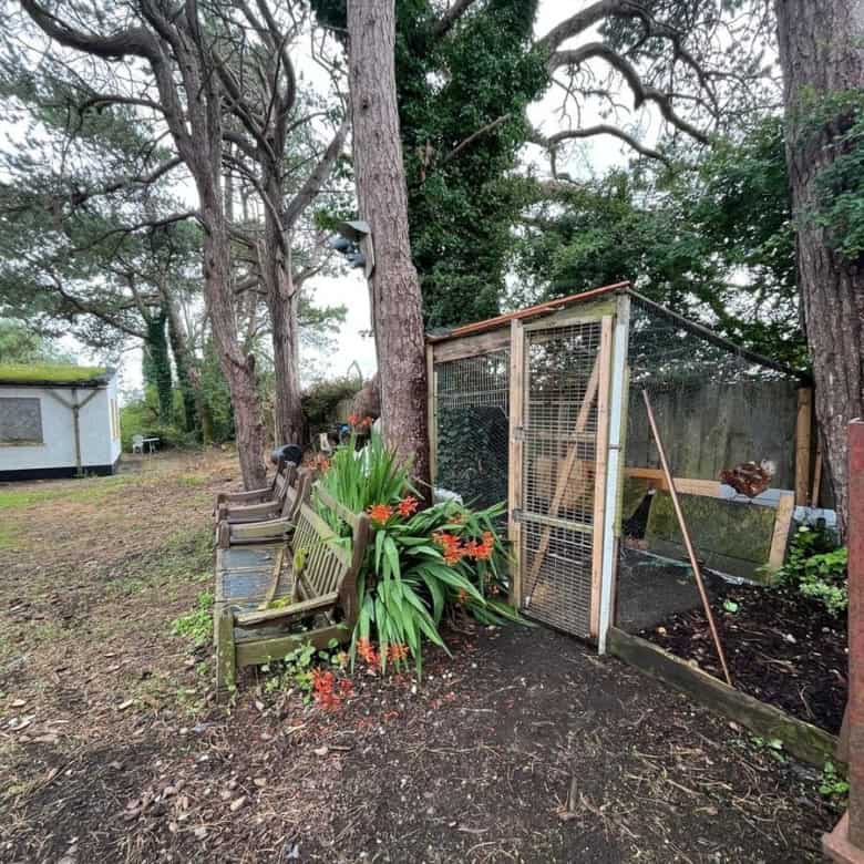 Cozy Irish cottage garden with lush greenery and outdoor seating in Farranmacfarrell, Ballina, Count.