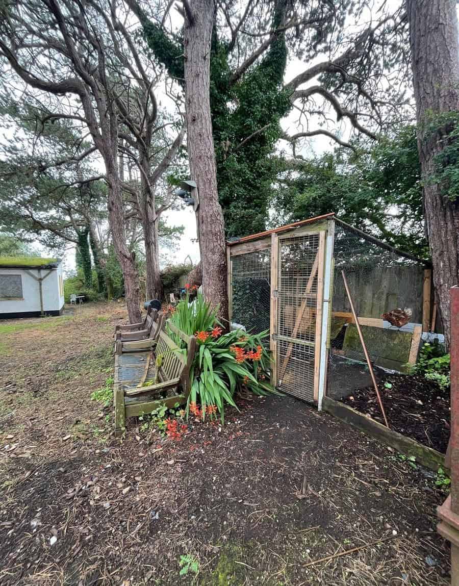 Cozy Irish cottage garden with lush greenery and outdoor seating in Farranmacfarrell, Ballina, Count.