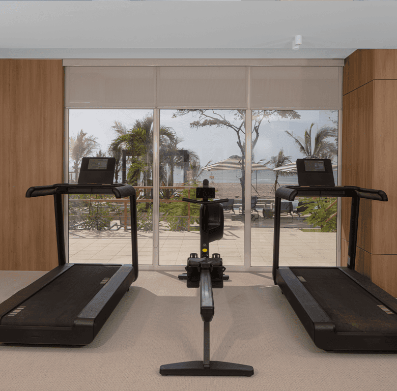 Treadmills facing large windows with ocean and palm trees in the background.