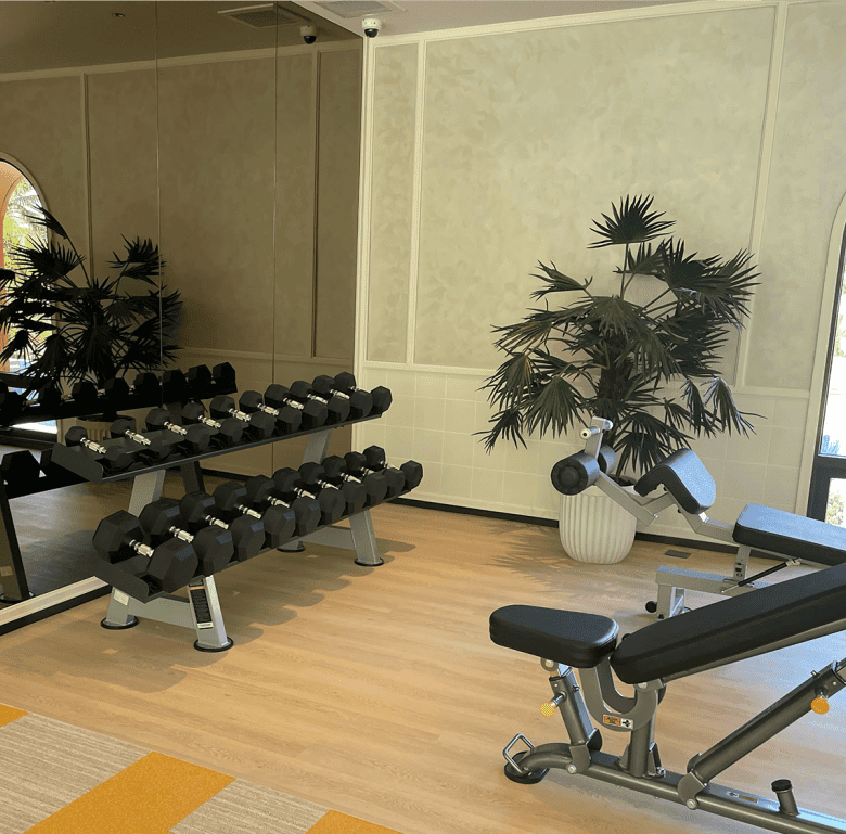 Gym interior with dumbbells, workout bench, and tropical plants near large windows.