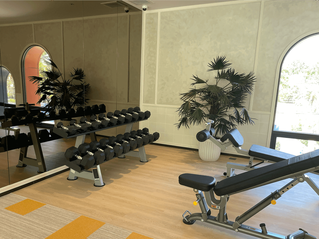 Gym interior with dumbbells, workout bench, and tropical plants near large windows.