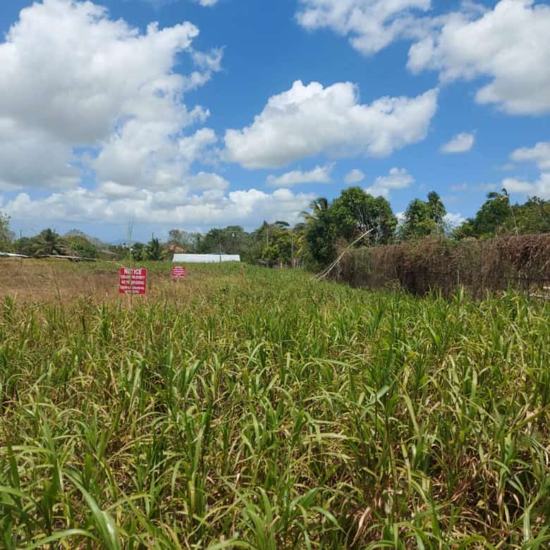 Plot of land available for sale in Trinidad and Tobago with lush greenery and open space.