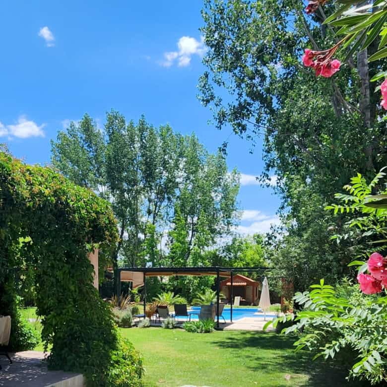 Beautiful garden with swimming pool and vibrant flowering plants.