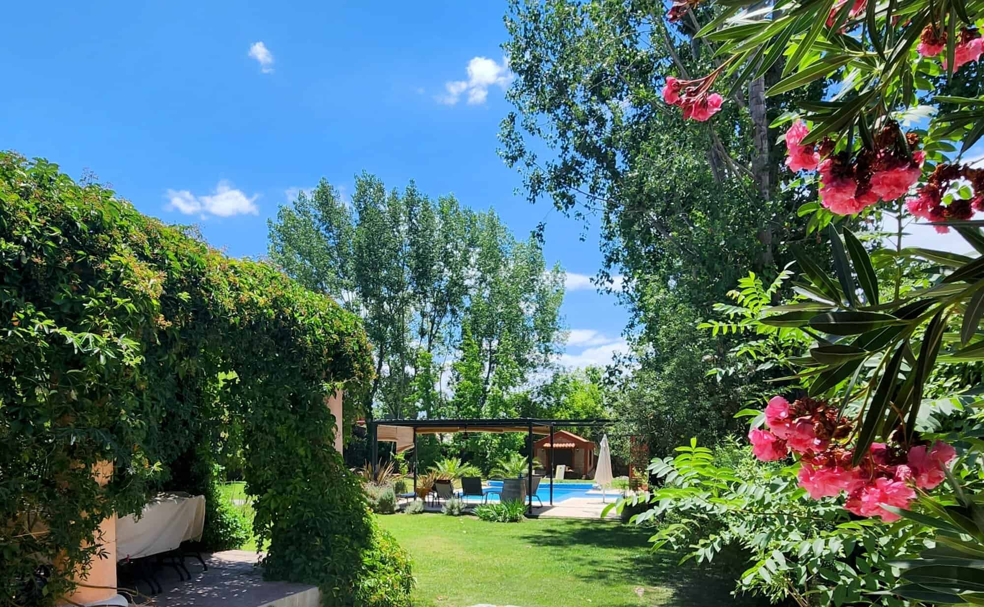 Luxury garden with pool and lush greenery Beautiful garden with swimming pool and vibrant flowering plants.