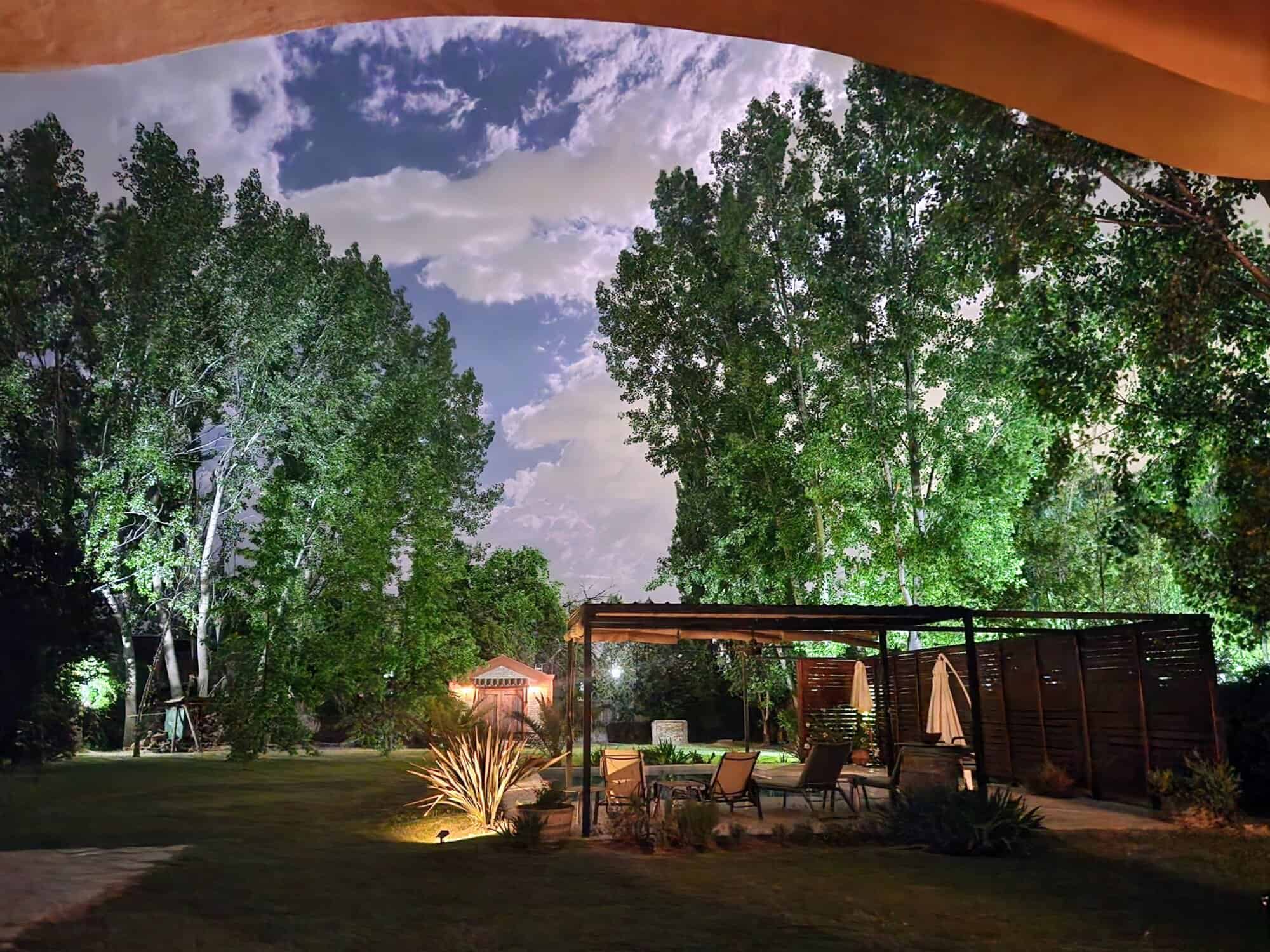 Serene backyard with lush trees and outdoor seating area Beautiful backyard with tall trees, garden, and cozy outdoor seating at night.