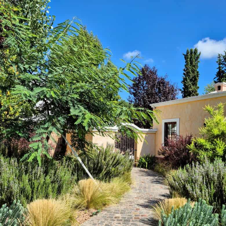 Beautiful garden with lush greenery and a stone pathway in a Mediterranean-style home.