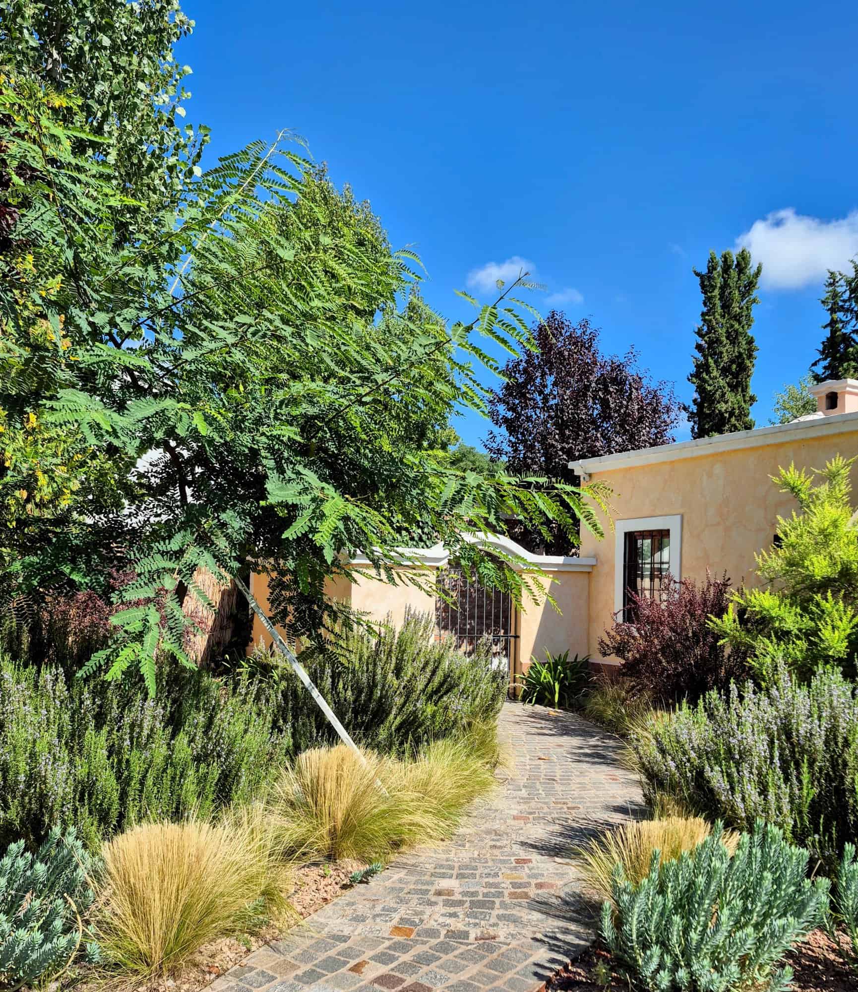 Charming Mediterranean Garden with Pathway Beautiful garden with lush greenery and a stone pathway in a Mediterranean-style home.