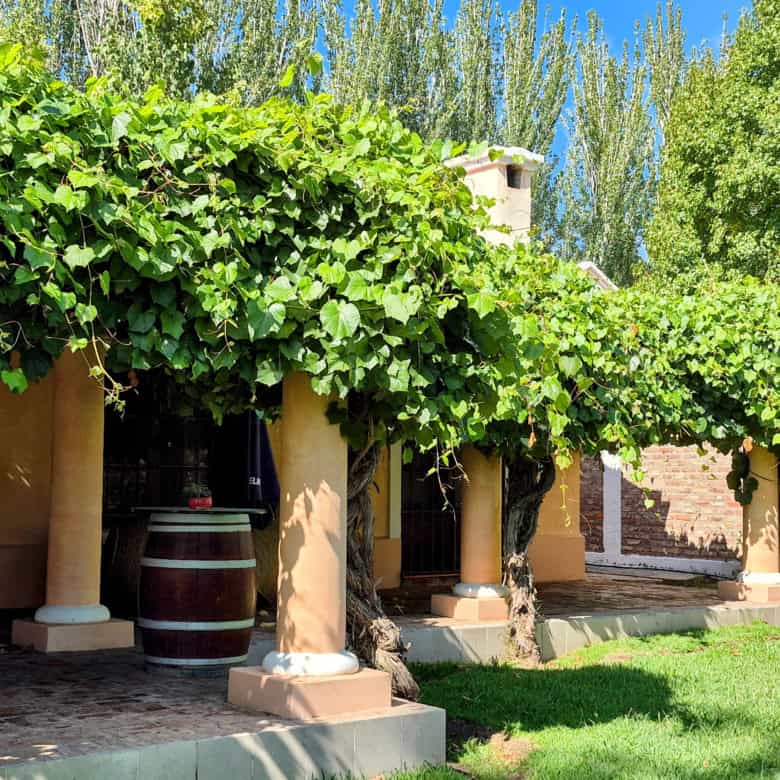 Beautiful villa with lush green vines and outdoor seating area.