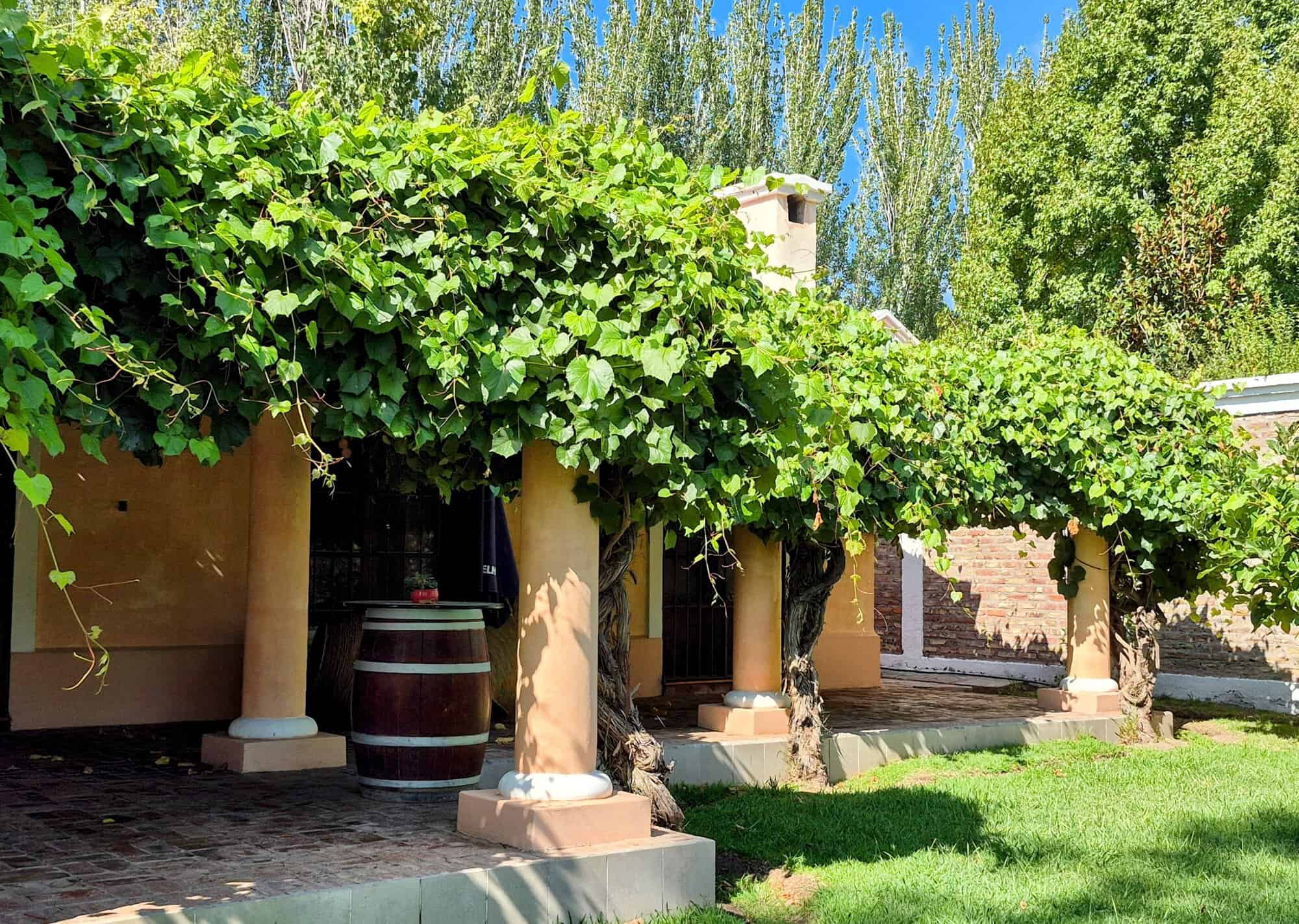 Charming Mediterranean-style villa with lush greenery Beautiful villa with lush green vines and outdoor seating area.