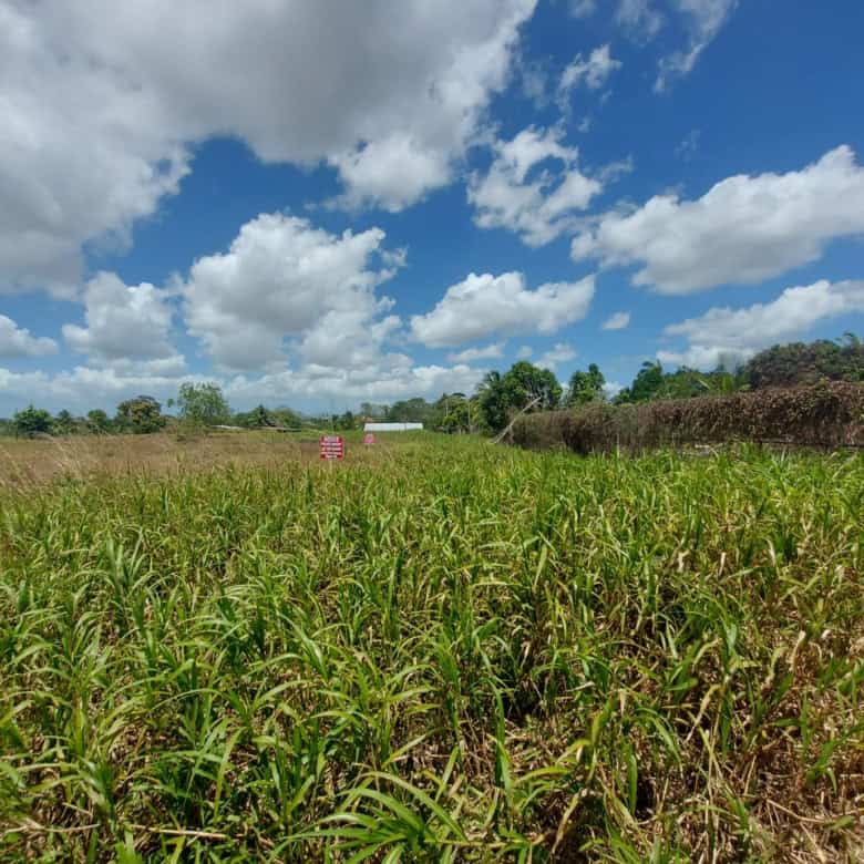 Plot of land for sale in Trinidad and Tobago with lush greenery and open sky.