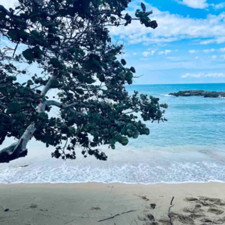 Beachfront house with ocean views in Lucea, Jamaica.