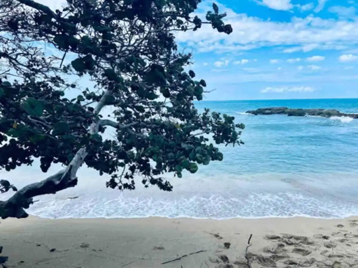 Luxury 3 Bed House in Sunshine Seashore Beachfront house with ocean views in Lucea, Jamaica.