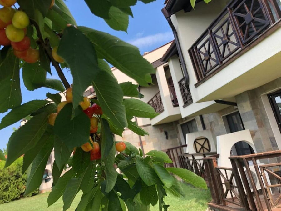 Modern 1 BED Apartment in Sunny Beach Spacious 72 m2 apartment with two large terraces in Imperial Heights, outskirts of Sunny Beach.