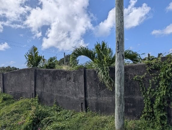 Empty lot with tropical plants in Fortlands, Basseterre, Saint Kitts.
