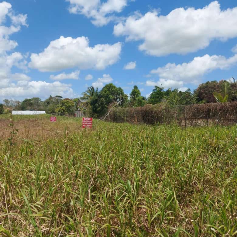 Plot of land for sale in Trinidad and Tobago with lush greenery and open space.