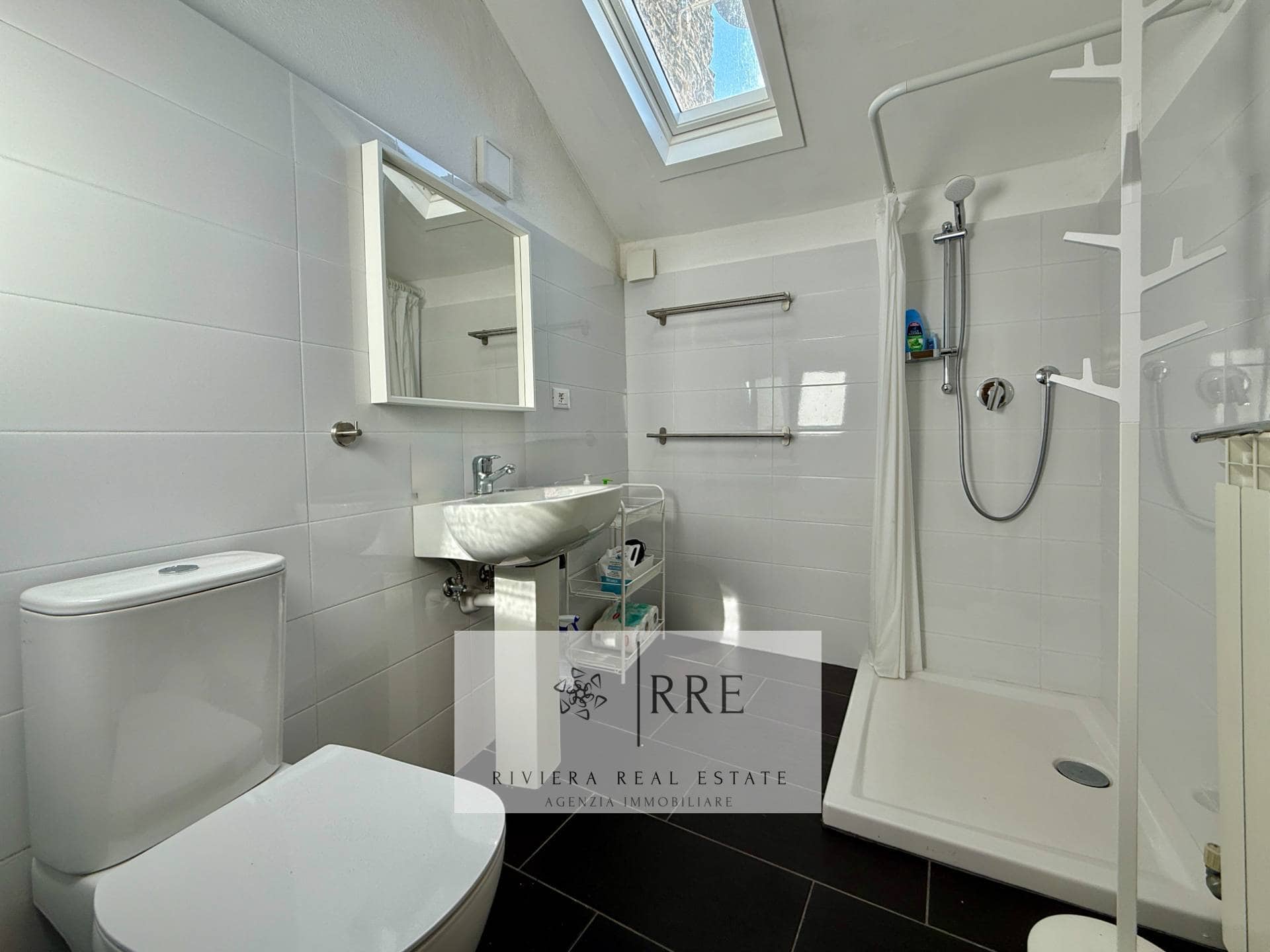 Bathroom with shower, sink, and skylight for natural light.