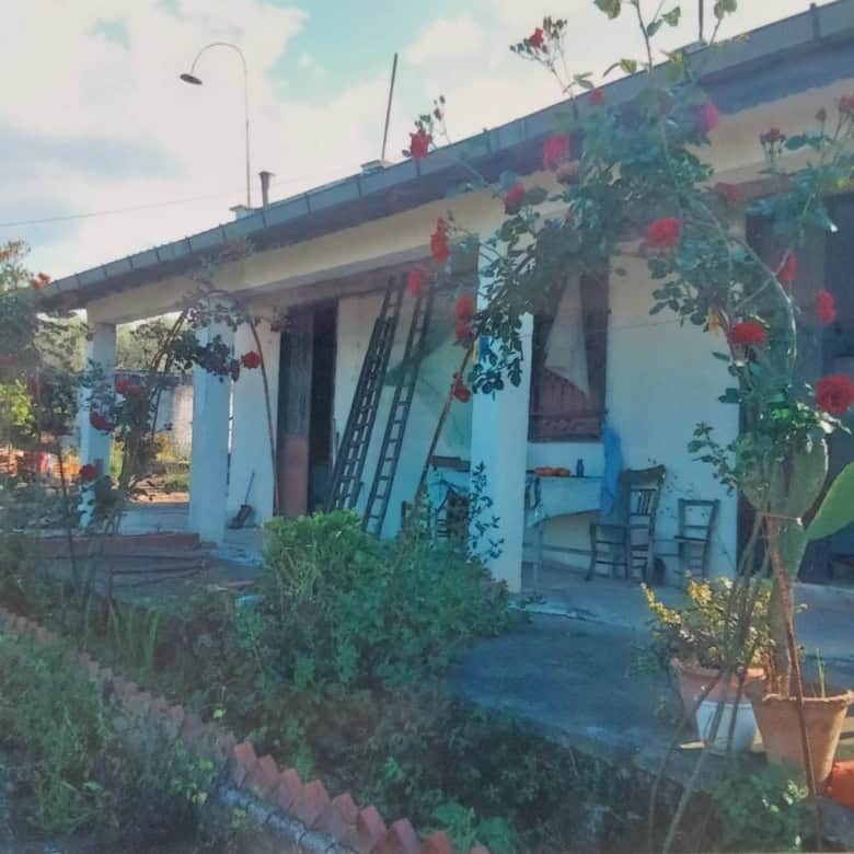 House with garden and blooming roses in a sunny setting.