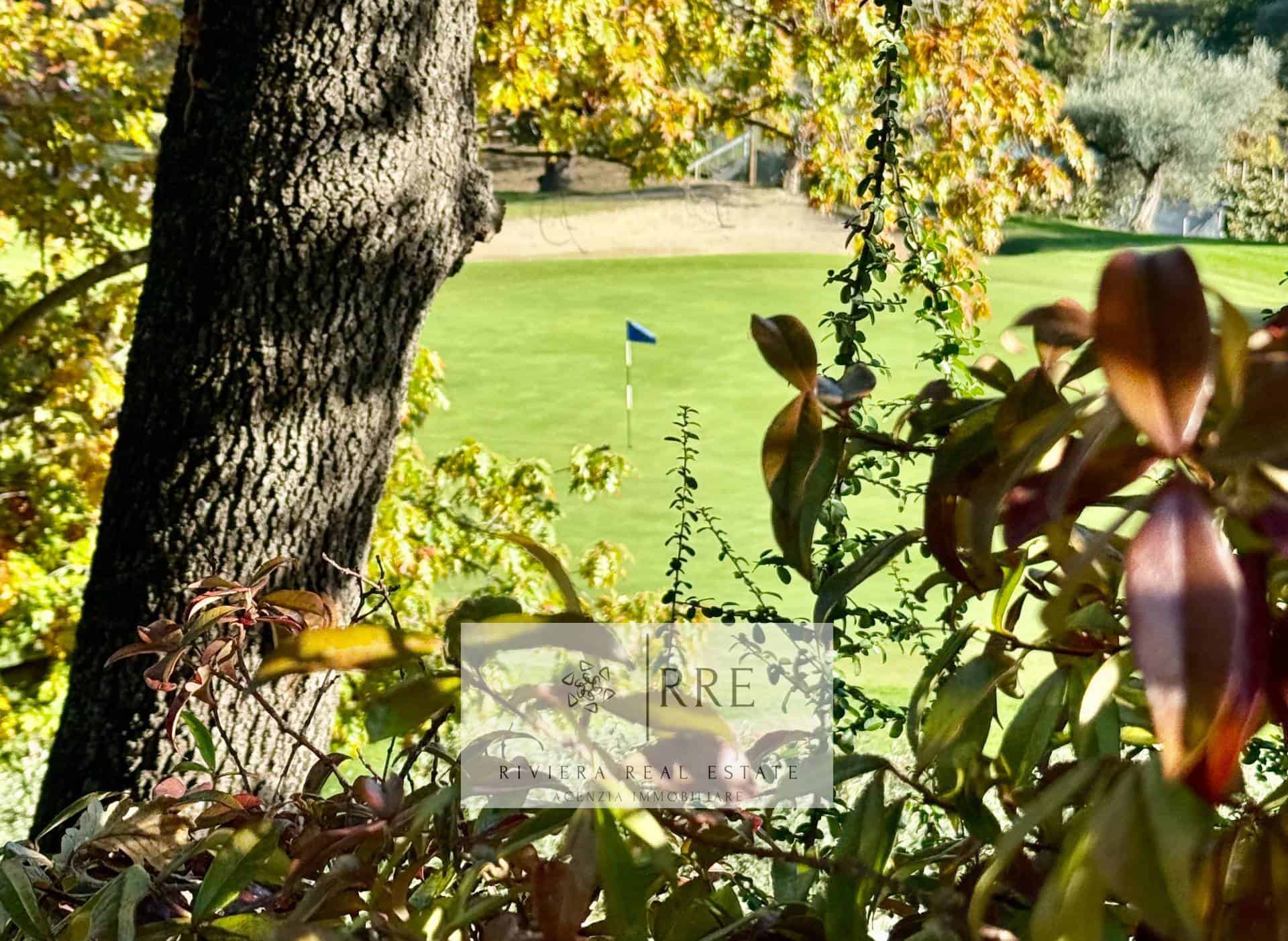 Golf course with trees and lush landscape.