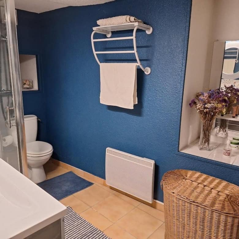 Bright bathroom with modern fixtures and a blue accent wall in a renovated village home.