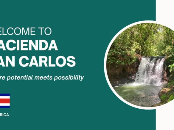 Beautiful land for sale in Hacienda San Carlos, Costa Rica, ideal for development or investment.