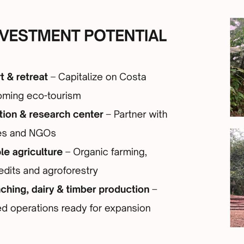 Luxury Finca Vivaldi Hotel for Sale in Leon, Spain, with scenic surroundings and modern amenities.