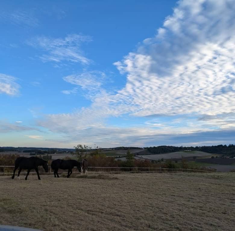 Equestrian property with horses grazing in a scenic rural landscape in France.
