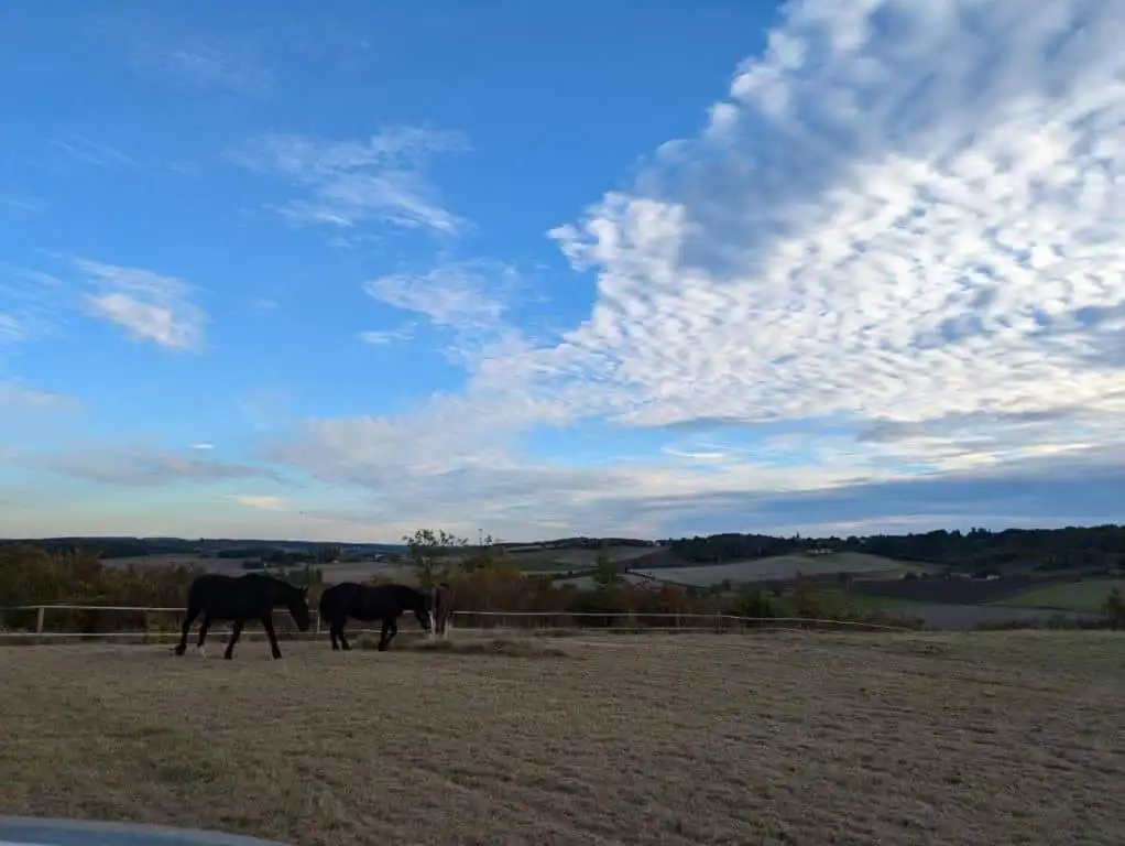 Equestrian property with horses grazing in a scenic rural landscape in France.