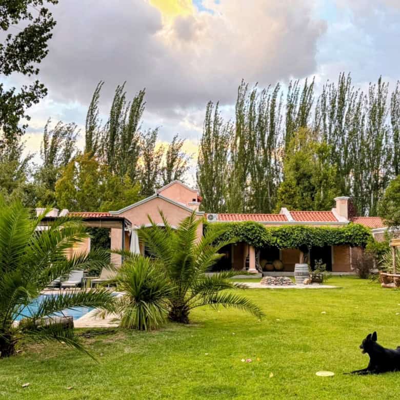 Outdoor backyard with pool, palm trees, and green lawn, ideal for relaxation and outdoor activities.