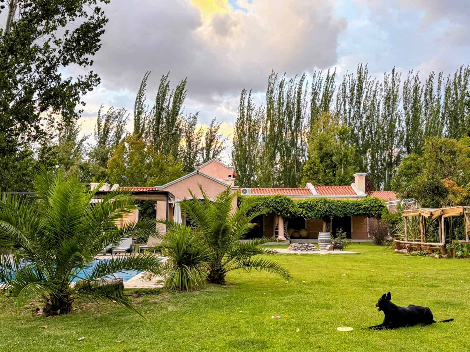 Beautiful backyard with lush greenery and a relaxing pool area. Perfect for outdoor living and enjoying nature. Outdoor backyard with pool, palm trees, and green lawn, ideal for relaxation and outdoor activities.