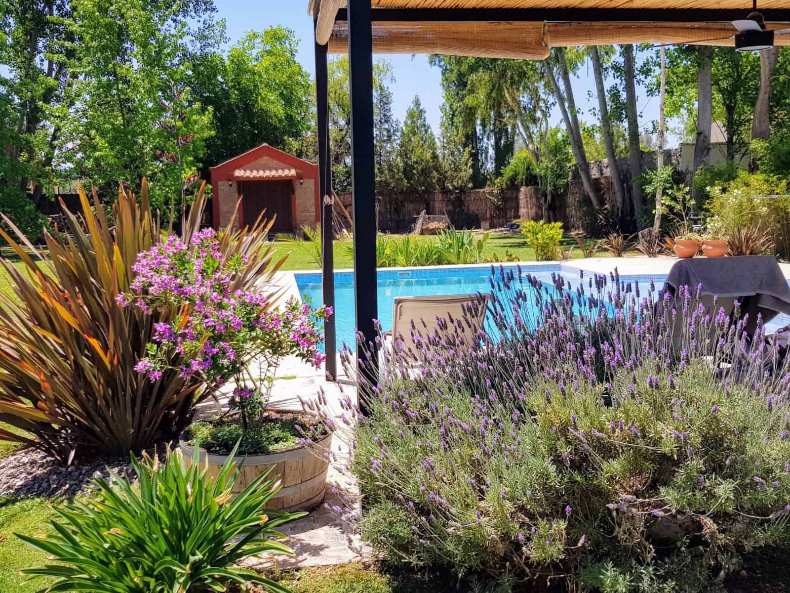 Luxury backyard with swimming pool and garden landscaping. Luxury backyard with swimming pool and lush garden landscaping.
