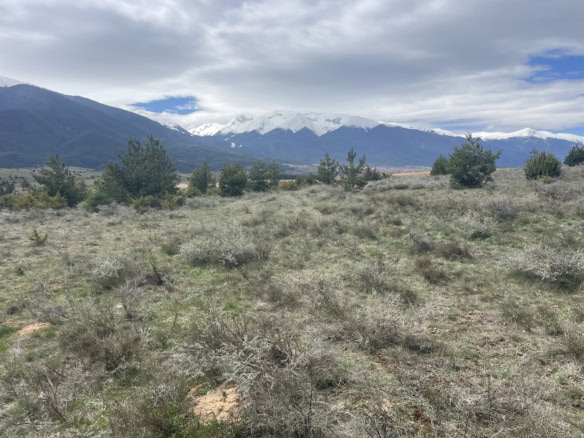 Mountain landscape with snow-capped peaks and open field, ideal for property investment.