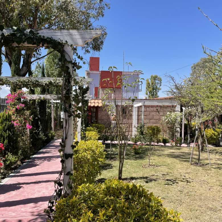 Beautiful garden with a pink pathway and decorative pergola under a clear blue sky.