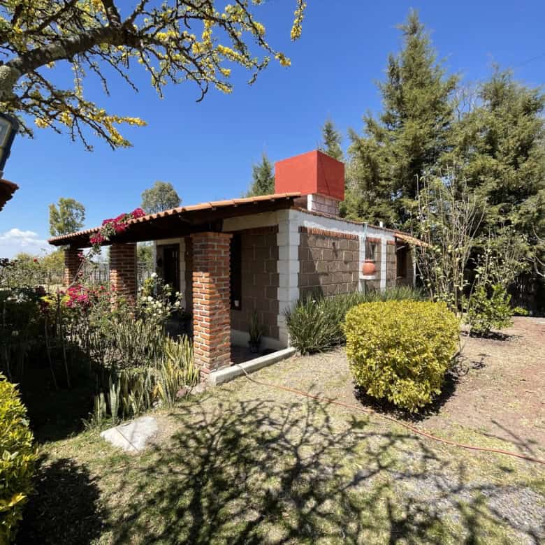 Charming brick house with lush garden and tall trees in a sunny yard.