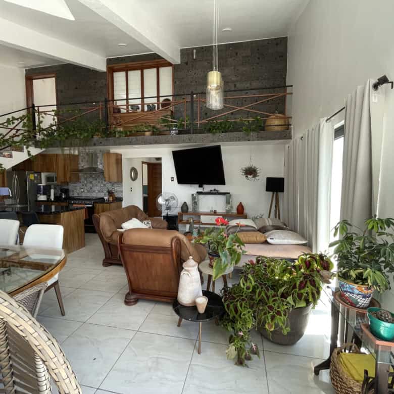 Spacious living room featuring large windows, comfortable seating, and abundant indoor plants for a.