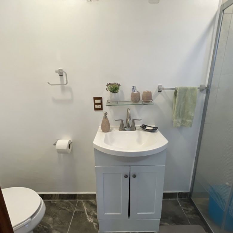 Modern bathroom with sink, shower, and decorative accessories.