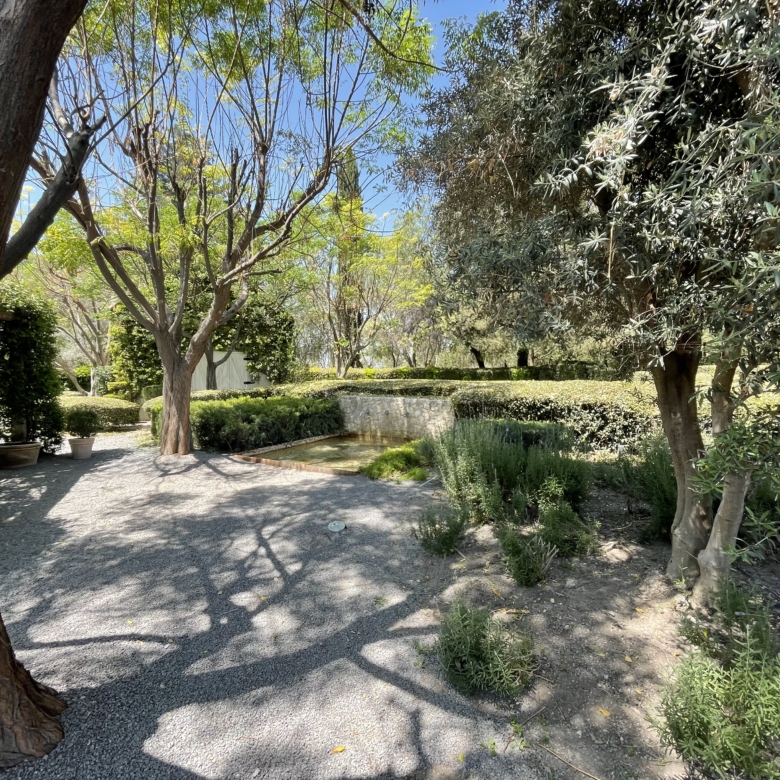 Beautiful garden scene with mature trees and vibrant plants, perfect for relaxation and outdoor enjo.
