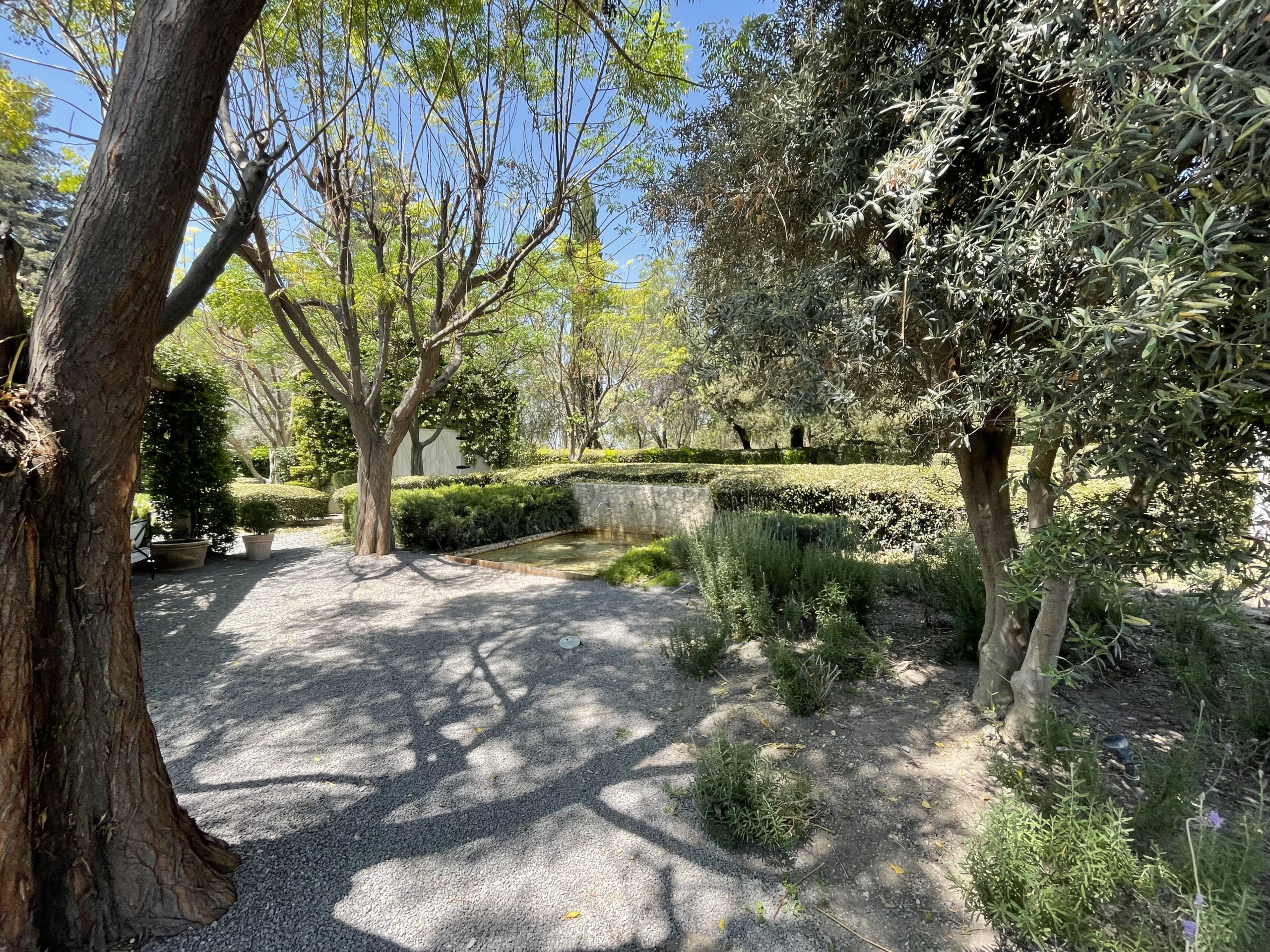 Beautiful garden scene with mature trees and vibrant plants, perfect for relaxation and outdoor enjo.